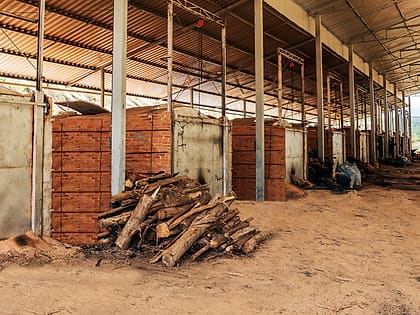 Cut wood stacked in front of the kiln bays of a carbonisation shed